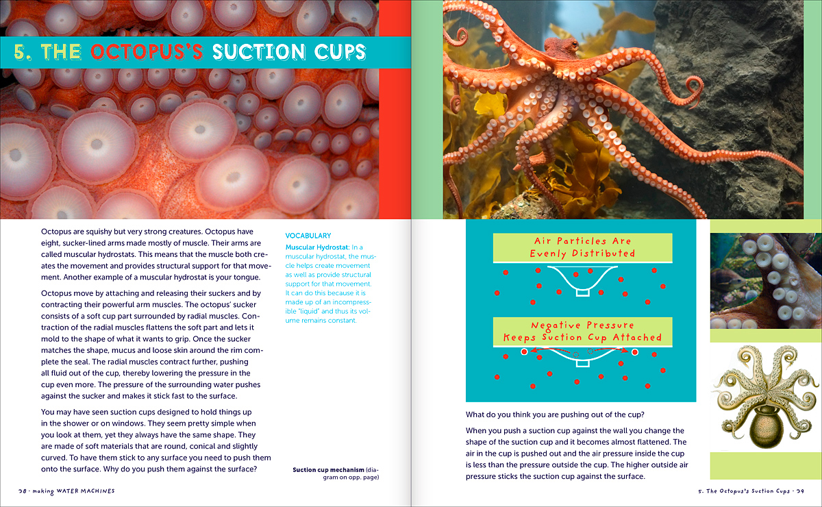 octopus suction cups intro, Making Water Machines book