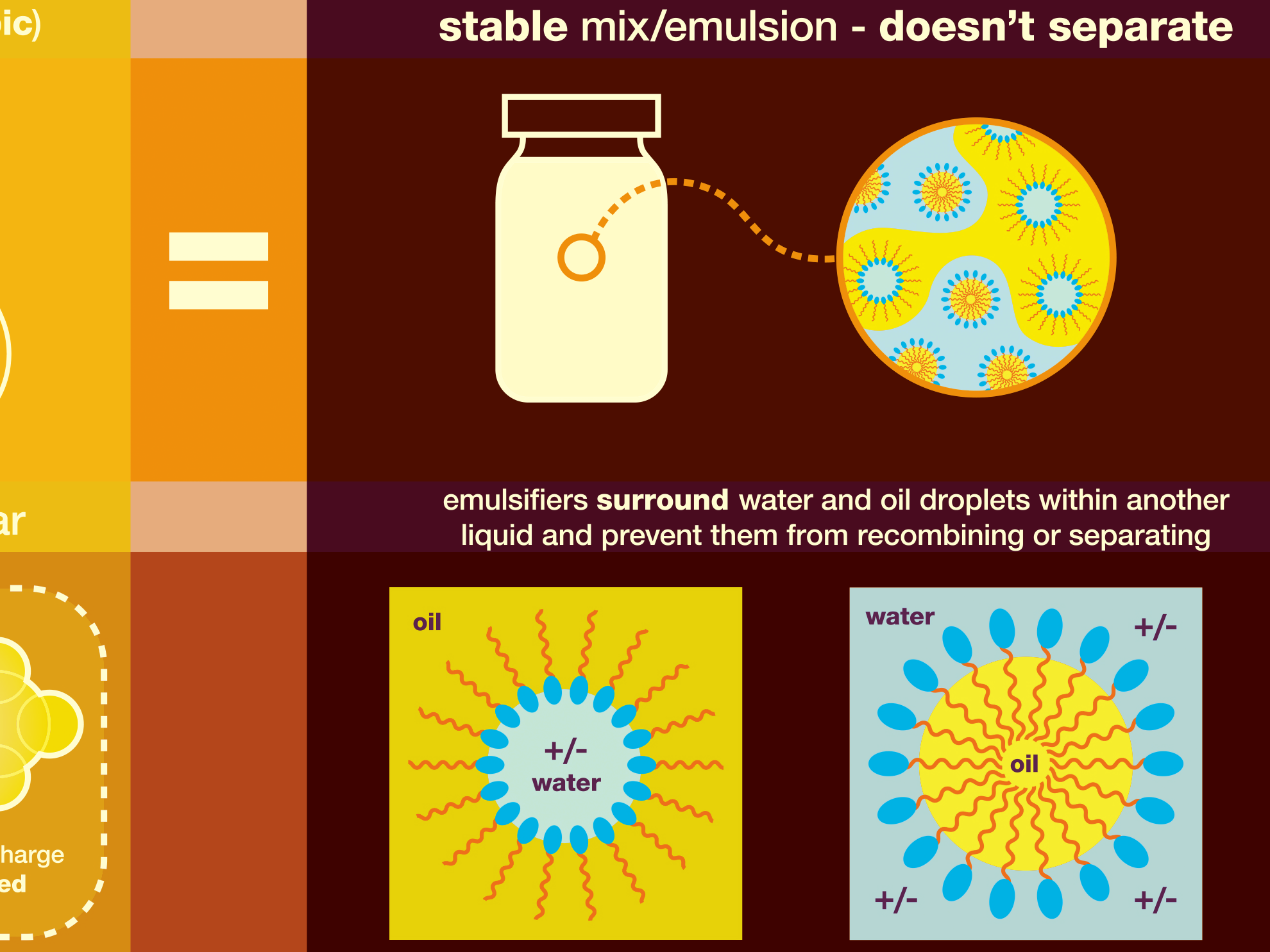 Zoom in on illustration on EMULSION diagrams of emulsifiers.