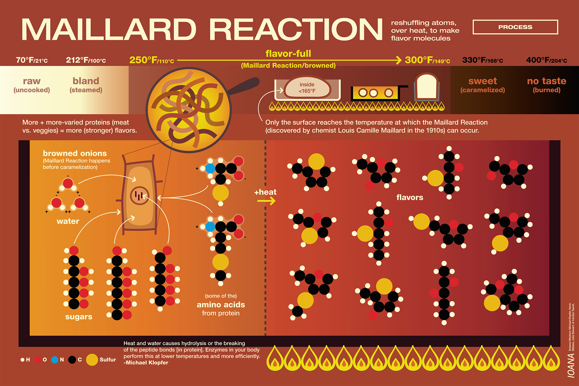 Poster on the MAILLARD REACTION featuring diagrams of all the flavor molecules created when onion is browned, 
                                                                    and a temperature range across the top going from raw to burned food, set in yellow and mostly brown colors.