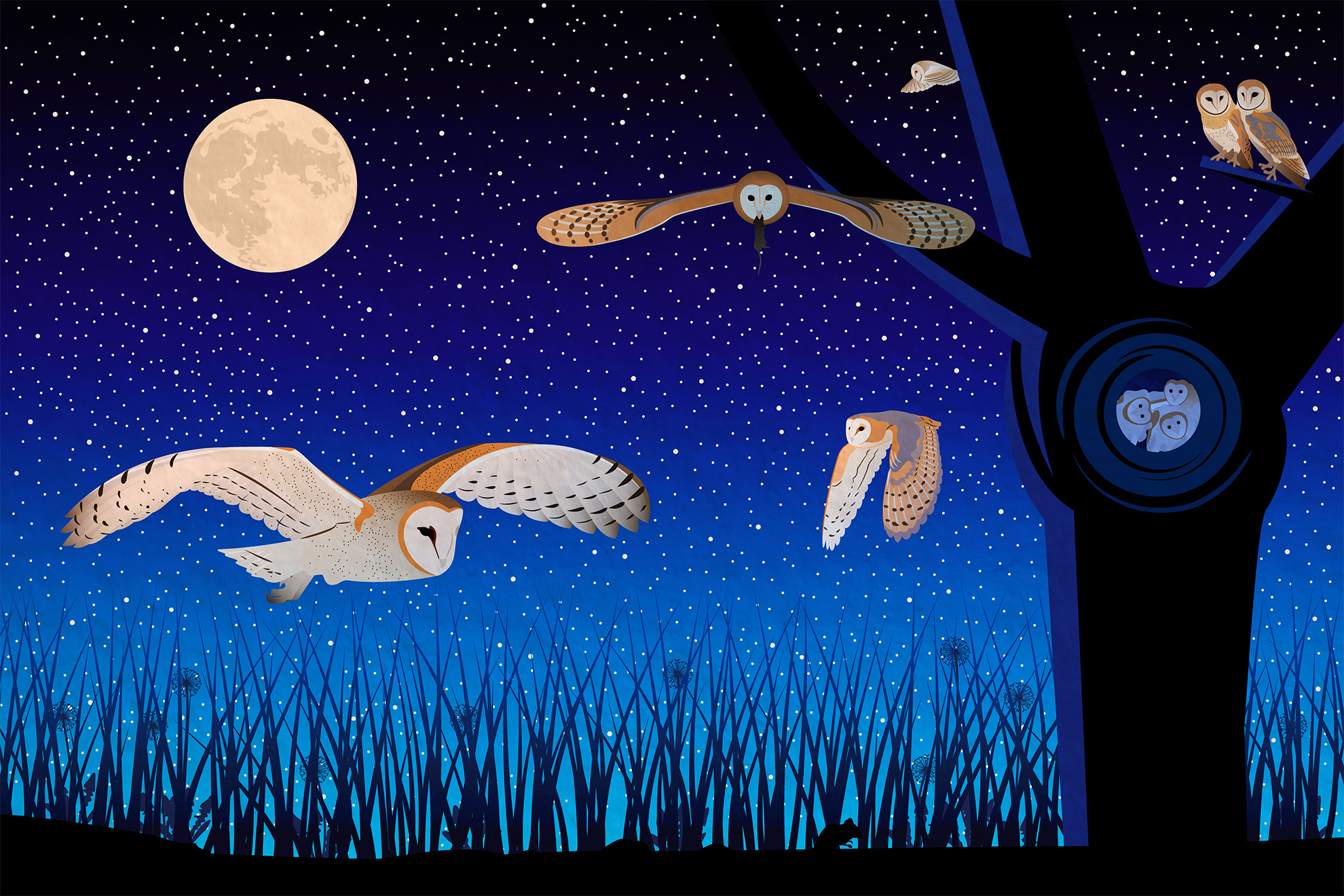 Illustration showing barn owls in various positions &ndash; nesting, flying, looking for prey right above the fields, with prey in mouth &ndash; 
                                                                        at night, against a starry sky, with a large full moon, an old tree and a grassy field.