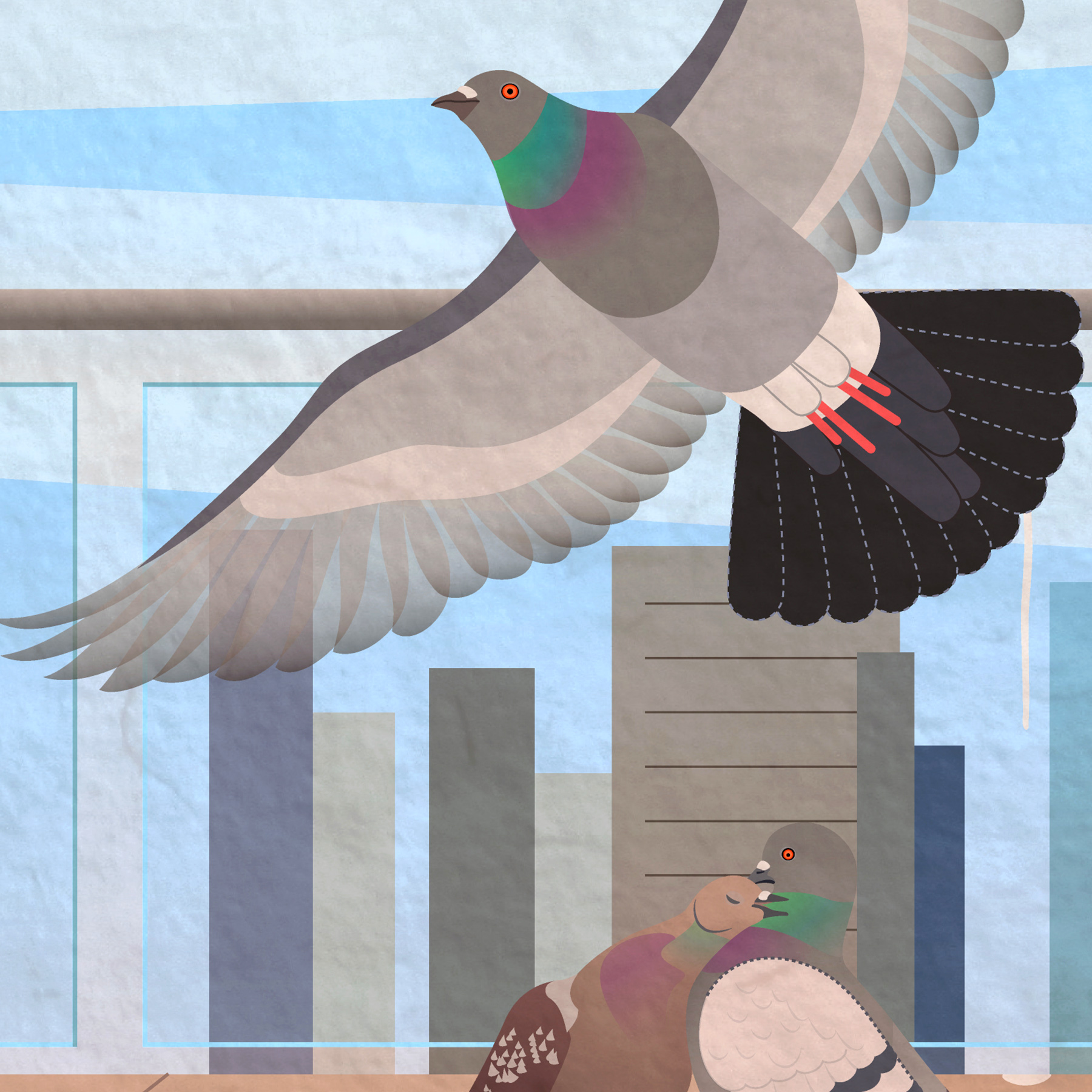 Zoom in on large rufous male roosting.