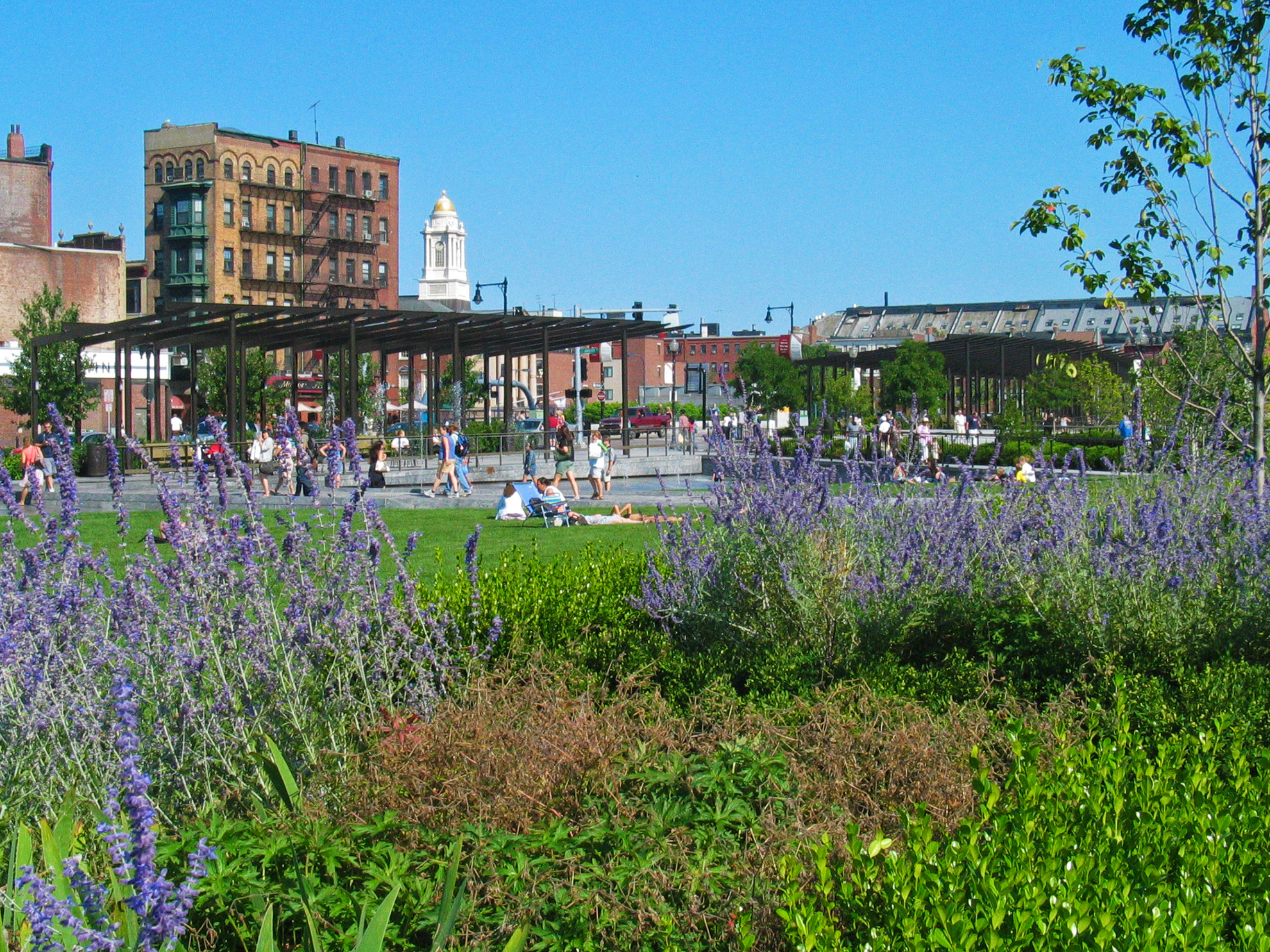 The smallest dark brown painted steel pergola is seen at an angle behind layers of plants in the foreground.