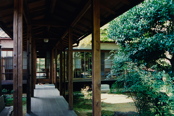 raised exterior walkway next to tree, Rokuo-in temple guesthouse, Kyoto, Japan