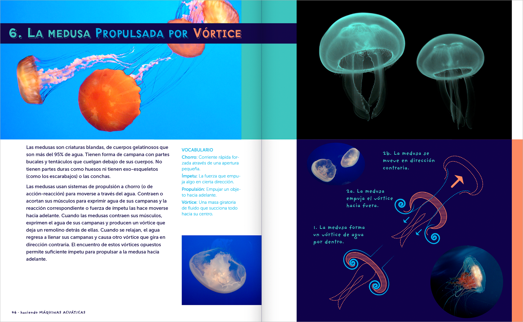 Pages 46-47, first pages of Chapter 6 in Spanish: La Medusa Propulsada por V&oacute;rtice, with text, photographs describing the jellyfish, 
                related vocabulary, a diagram showing how the jellyfish moves through water by propulsion, and photographs of jellyfish, all in Spanish and mostly blue colors.