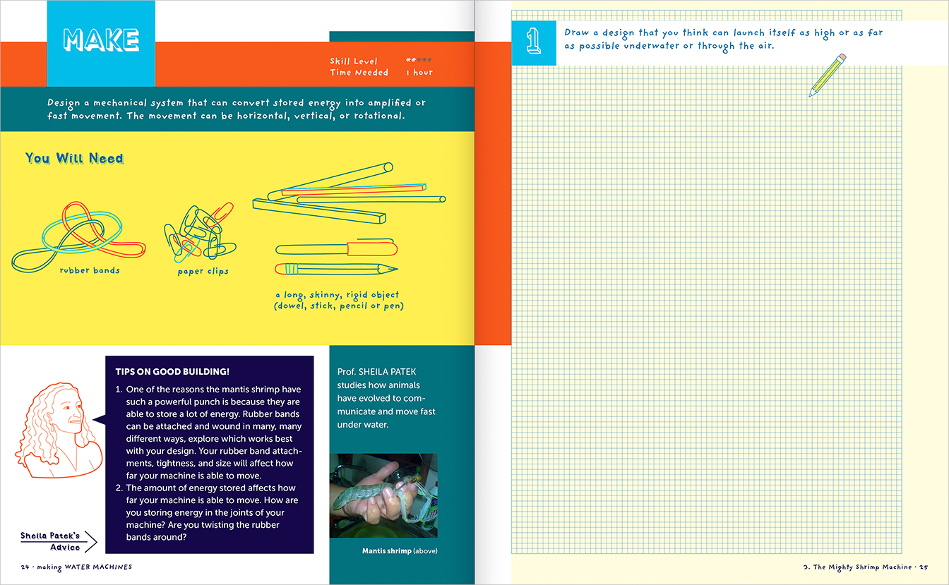 Pages 24-25, Chapter 3: The Mighty Shrimp Machine, showing on the left page the household materials needed to MAKE the experiment 
            (rubber bands, paper clips and sticks, drawn as line-based illustrations) and how long it will take, with helpful advice from scientist Sheila Patek, 
            and on the right, a cream-colored graph page for sketching with instructions to draw.