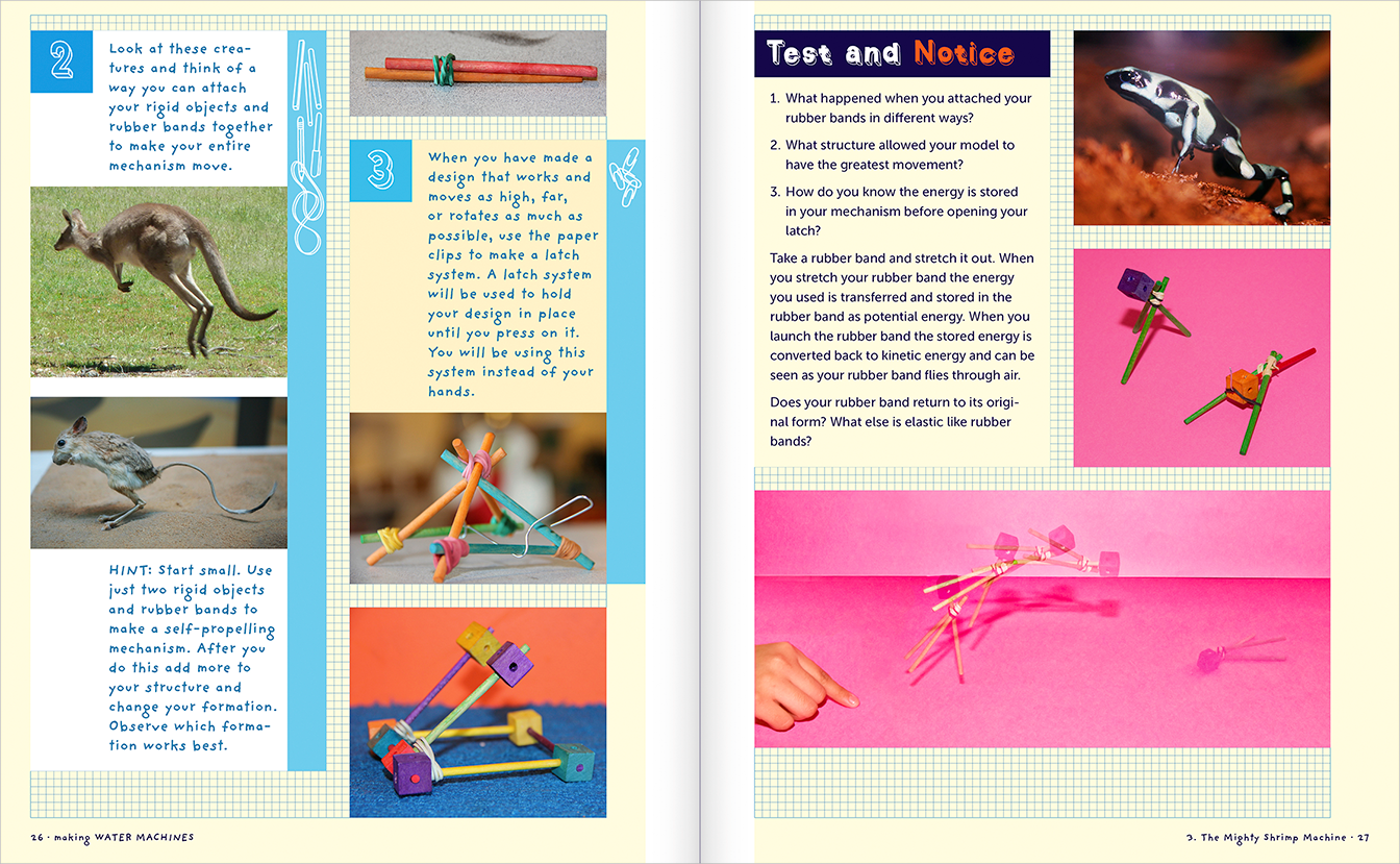 Pages 26-27, Chapter 3: The Mighty Shrimp Machine, with step by step instructions on how to build the experiment model,
                and some photograph examples of animals which spring use their legs to spring/jump: 
                a kangaroo, a Lesser Egyptian jarboa (mouse), and a jumping frog.